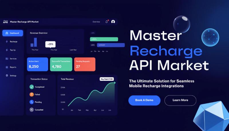 Master Recharge API Market