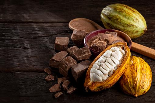 Exploring the Cocoa Chocolate Market Analysis on Share
