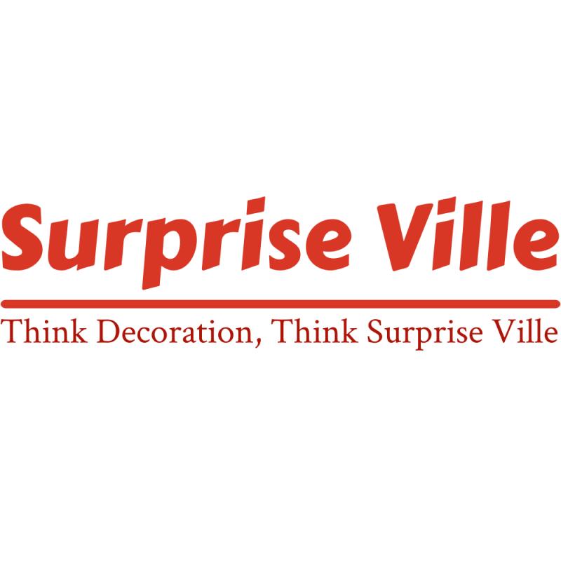 Capturing Dreams, Crafting Memories: Join us on a journey through Surprise Ville's press release, where every detail tells a story