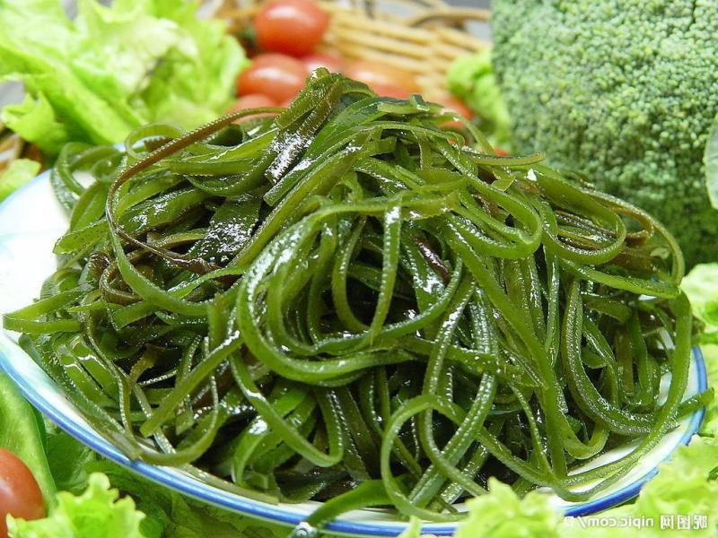 Seaweed Extract Industry Is Projected To Reach US$ 2.7 Bn By 2032