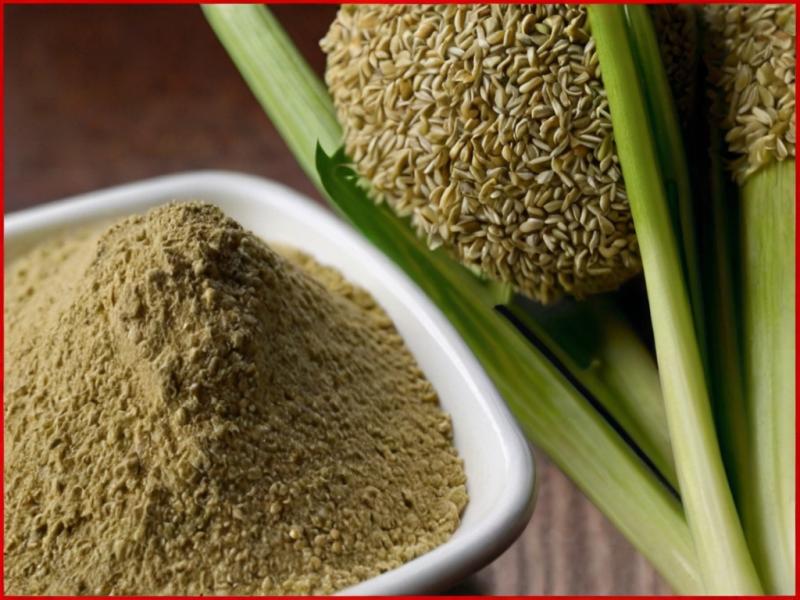 Celery Seed Powder Manufacturing Plant Project Report 2024: