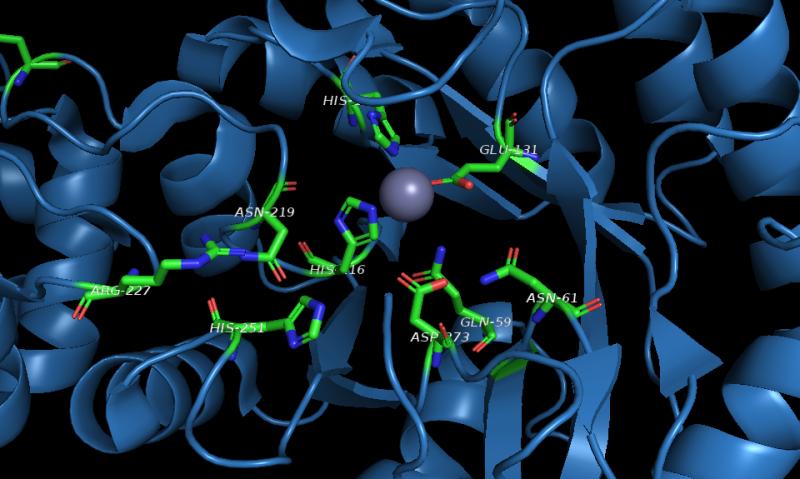 Acetylglucosamine Market