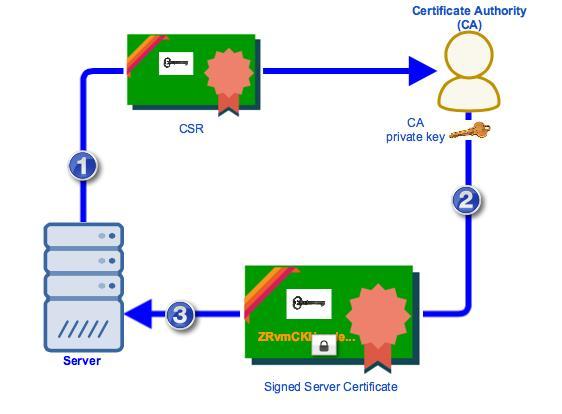 Certificate Authority Market Size