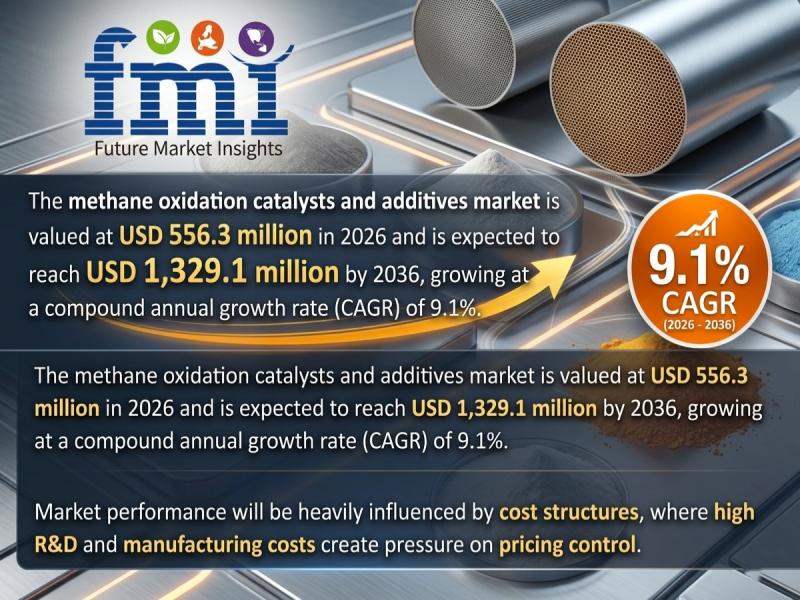 Methane Oxidation Catalysts and Additives Market