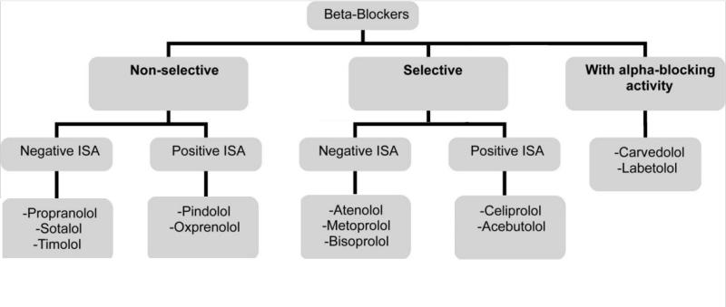 Beta Blockers Market Size is Expected to Touch USD 14.4 billion