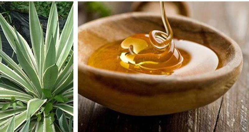 Agave Nectar Market to Reach Valuation of ~US$ 272 Mn By 2030