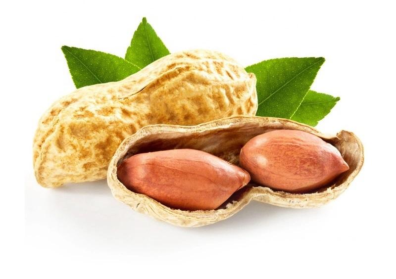 Peanuts Market Growth Rate, Forecast & Trend Now & Beyond: Olam