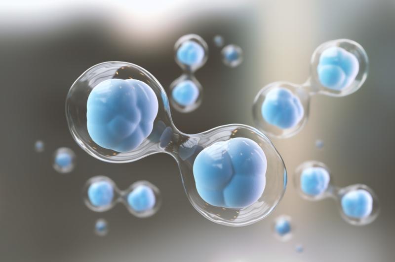 Placental Stem Cell Therapy Market