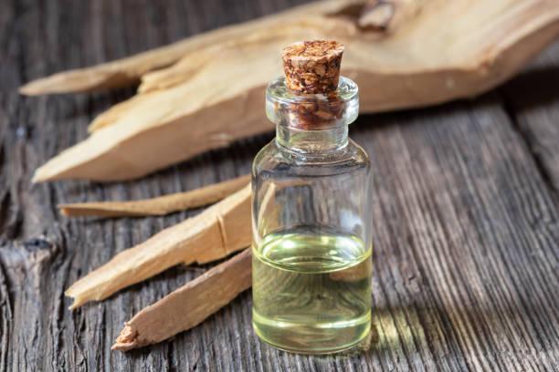 Sandalwood Oil Market Fragrant Growth Opportunities with