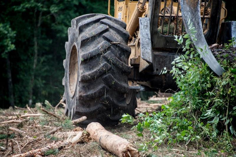 Forestry Tire Market Projected to Exhibit Growth at 3.22% CAGR