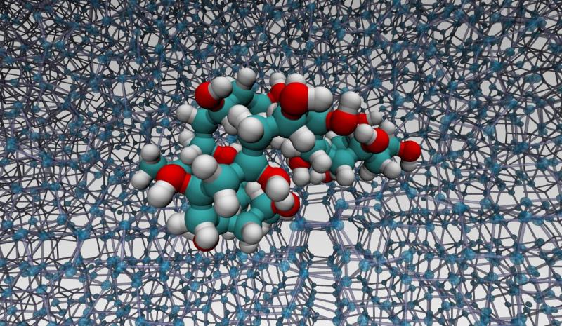 Polymer Binders Market