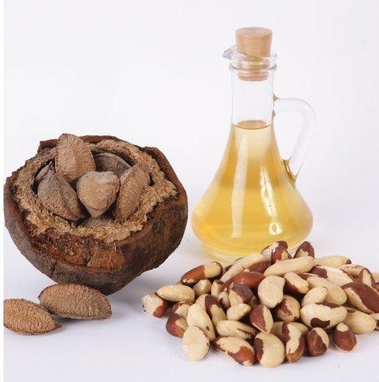 Brazil Nut Oil Market Growing Status and Eastimate 2021-2031