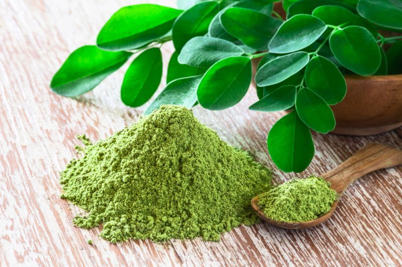 Global Moringa Extract Market Set to Reach $10.65 Billion by 2031