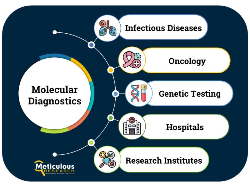 Europe Molecular Diagnostics Market Primed to Surpass $13.25