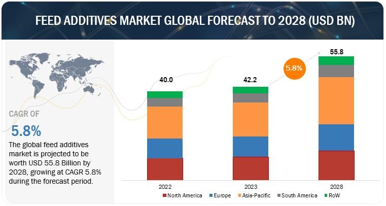 Nourishing Growth: Exploring the Dynamics of the Global Feed