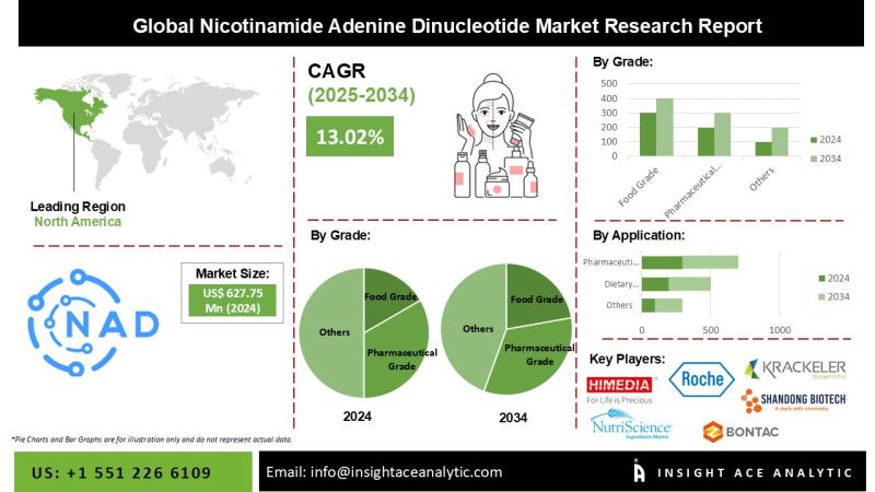 Nicotinamide Adenine Dinucleotide Market End-Use Demand