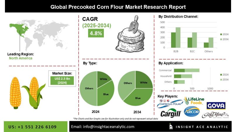 Precooked Corn Flour Market Future Growth Hotspots and Forecast