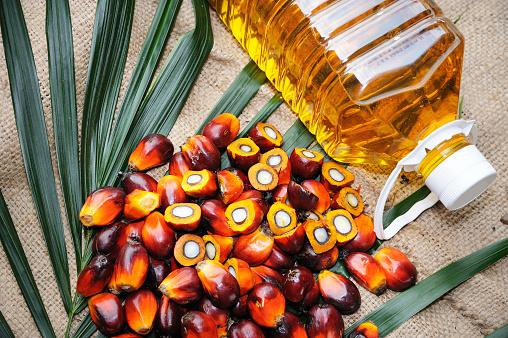 Palm Oil Market: A Comprehensive Analysis on Growth Drivers with