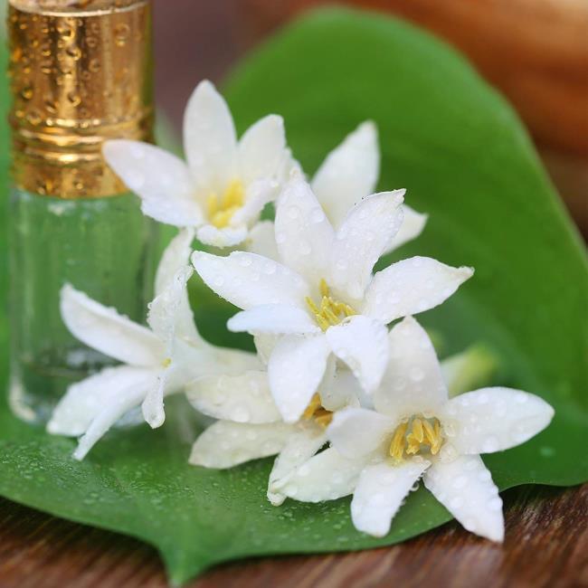 Tuberose Extract Market