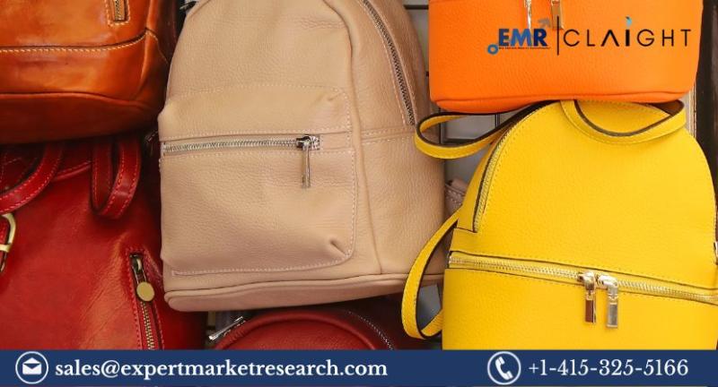 A Comprehensive Exploration of The Global Backpack Market Size,