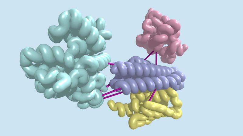 Host Cell Protein Testing Market