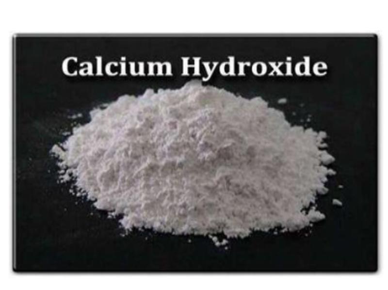 Calcium hydroxide Market