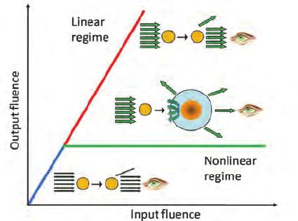 Optical Limiter Market Trends, Growth, and Future Prospects