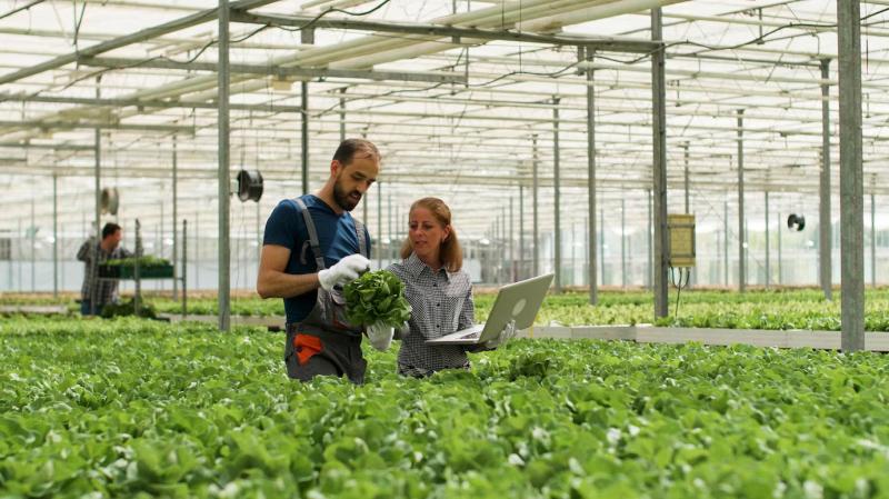 Greenhouse Irrigation Systems Market