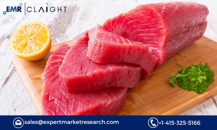 Tuna Market Insights: Trends, Opportunities, and Forecast