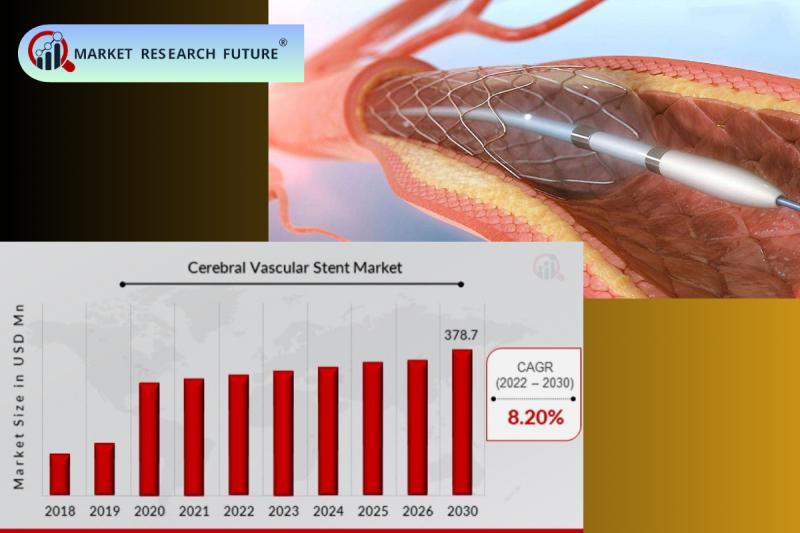 Cerebral Vascular Stent Market