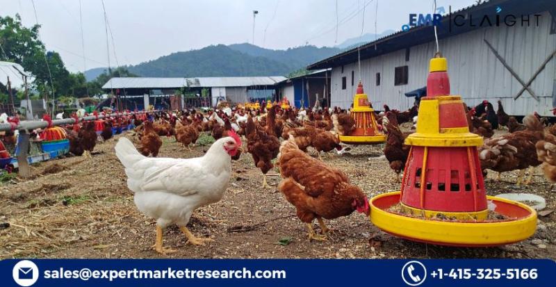 India Poultry Market