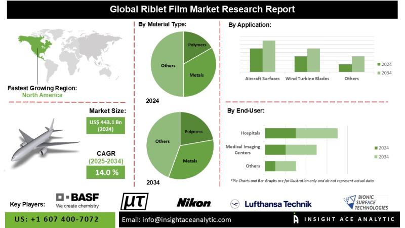 Riblet Film Market Penetration and Growth Forecast 2026 to 2035