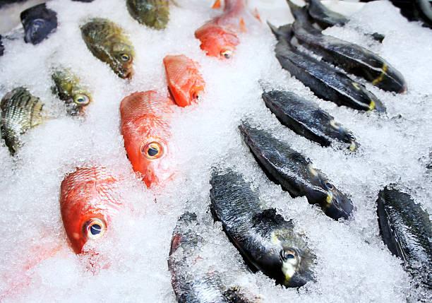 Frozen Seafood Market, Global Frozen Seafood Market, Frozen Seafood Market Size, Frozen Seafood Market Share