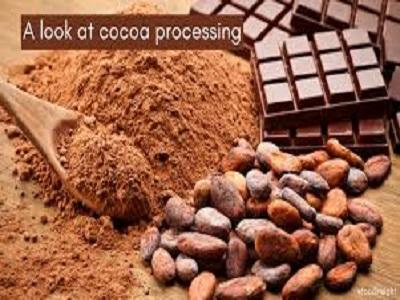 Cocoa Processing Market