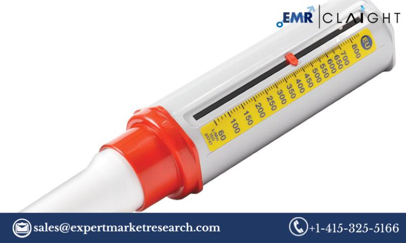 Peak Flow Meter Market