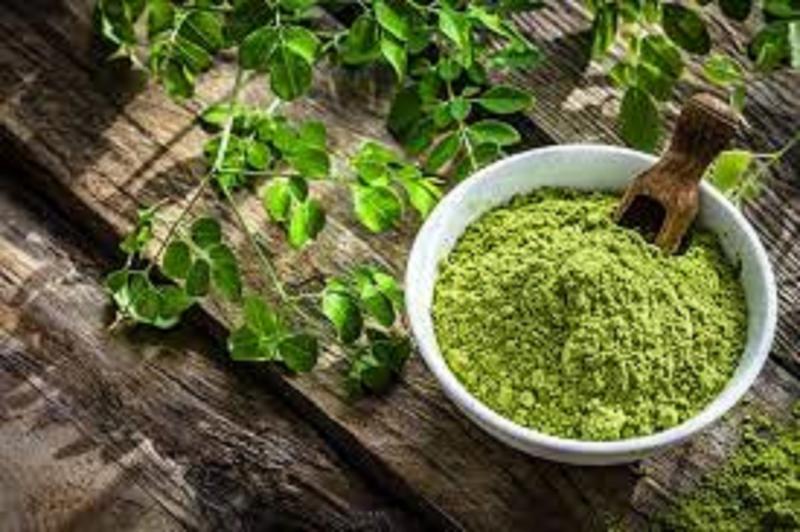 Moringa Products Market