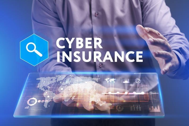 Cyber Insurance Market Projected to Reach USD 68.35824012