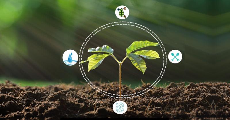 Agricultural Biologicals Market