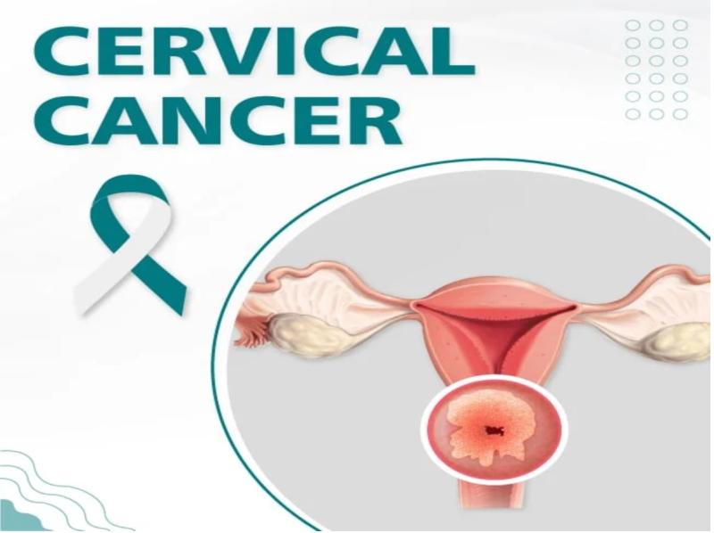 Cervical Cancer Market