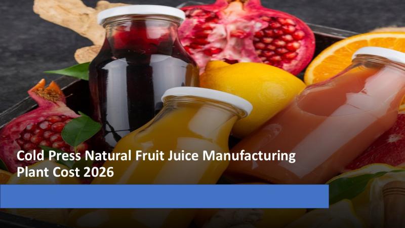 Cost of Setting Up a Cold Press Natural Fruit Juice Manufacturing