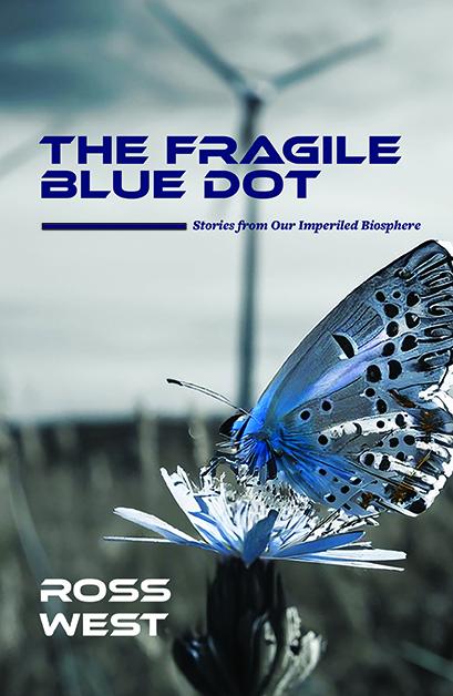 Fragile Blue Dot cover