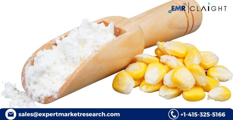 North American Starch Industrial Market