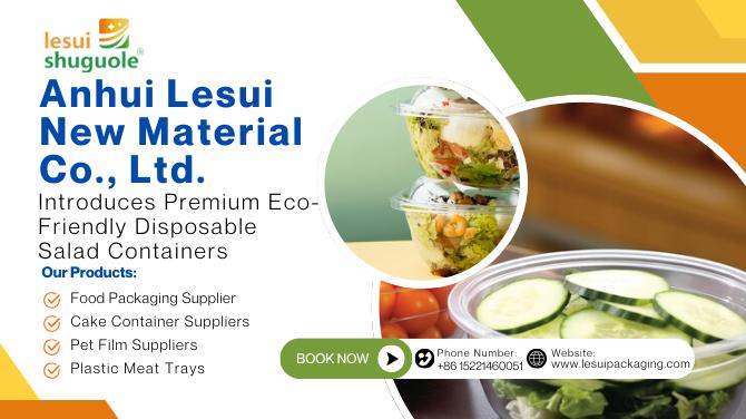 Anhui Lesui New Material Co., Ltd. Introduces Premium Eco-Friendly Disposable Salad Containers