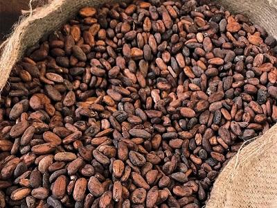 Cacao Beans Market