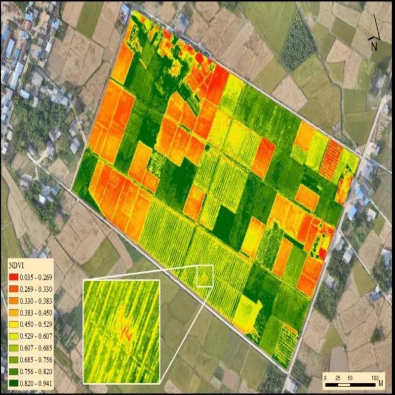 Agricultural Mapping Services