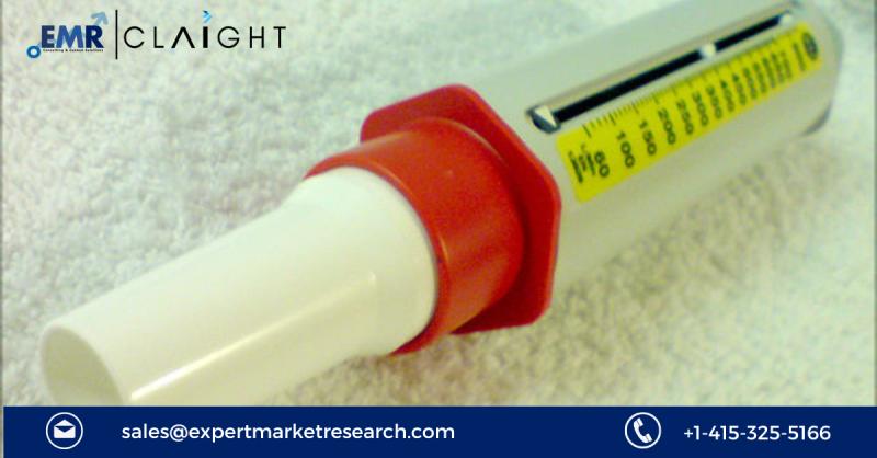 Peak Flow Meter Market