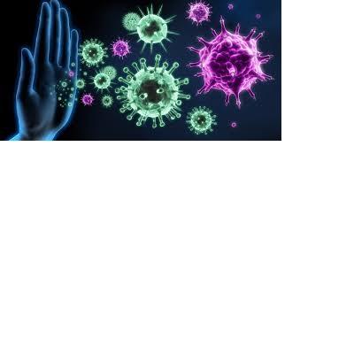 Infectious Immunology Market