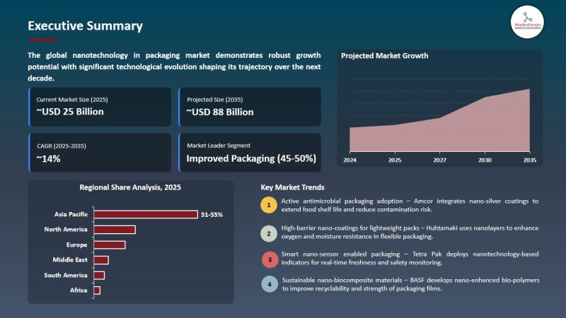 Nanotechnology in Packaging Market Size, Share, and Growth