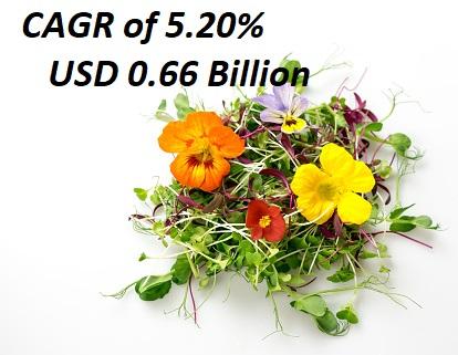 Edible Flowers Market Blooming Gain Popularity by 2032 with CAGR