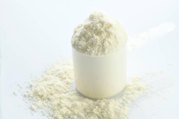 Skim Milk Powder Market